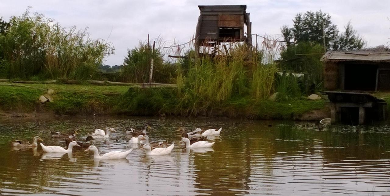 Biohof Am Turawa-See Szczedrzyk Esterno foto