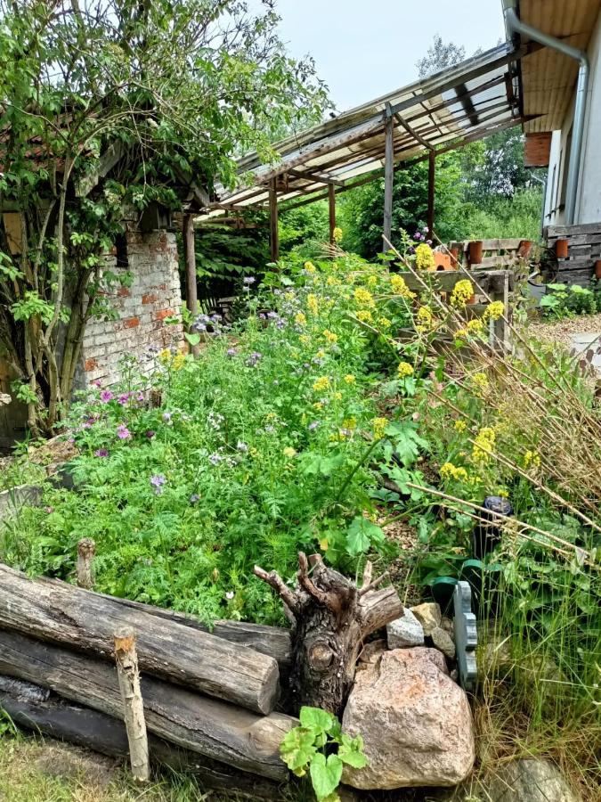 Biohof Am Turawa-See Szczedrzyk Esterno foto